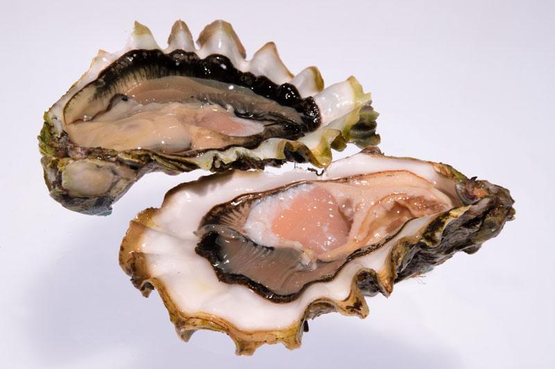 Устрица 200-300 г. шт.